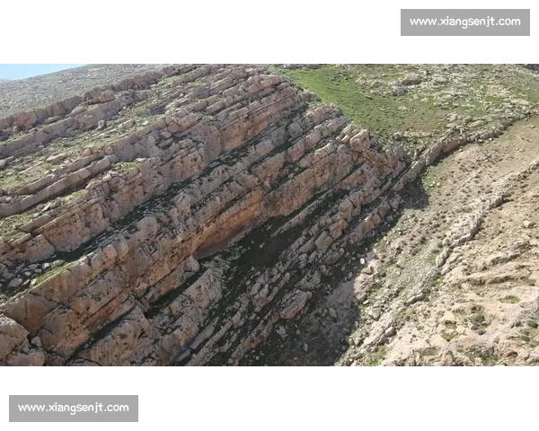 日本对阵巴勒斯坦的实力博弈与西亚赛场新变局前景观察解析全景