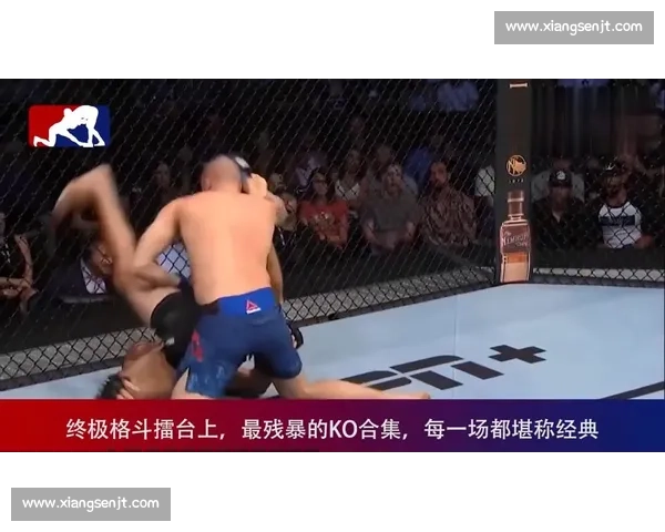 战警硬撼崔洪万巅峰对决揭开力量与技巧的终极较量擂台真相与胜负悬念