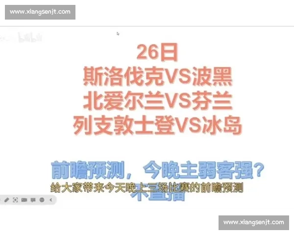 冰岛对阵丹麦比赛走势解析与战术实力全面对比前瞻关键球员状态